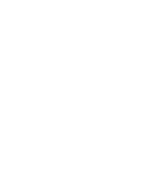 In Fetus — excelência em medicina fetal